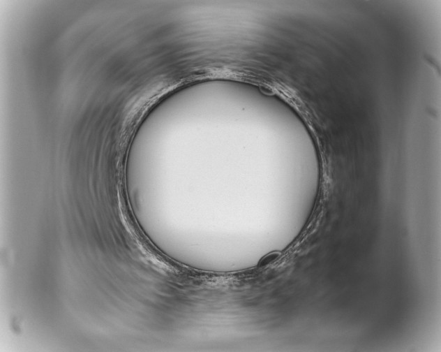 X0000102270097200808151913