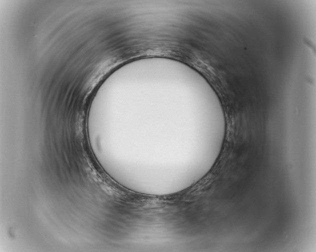 X0000102270098200808151913