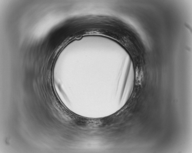 X0000102270099200808151913