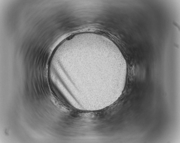 X0000102270100200808151913