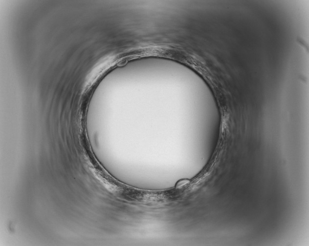 X0000102270101200808151913