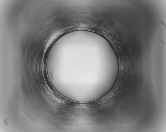 X0000102270102200808151913