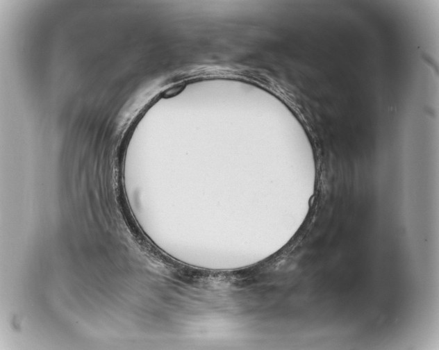 X0000102270103200808151913