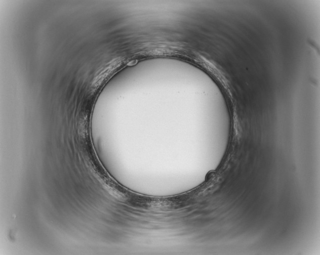 X0000102270105200808151913