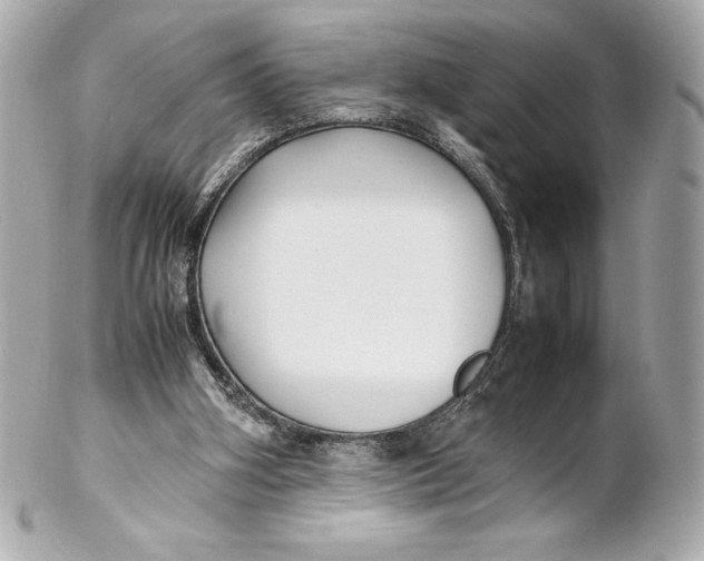 X0000102270106200808151913