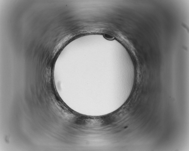 X0000102270107200808151913