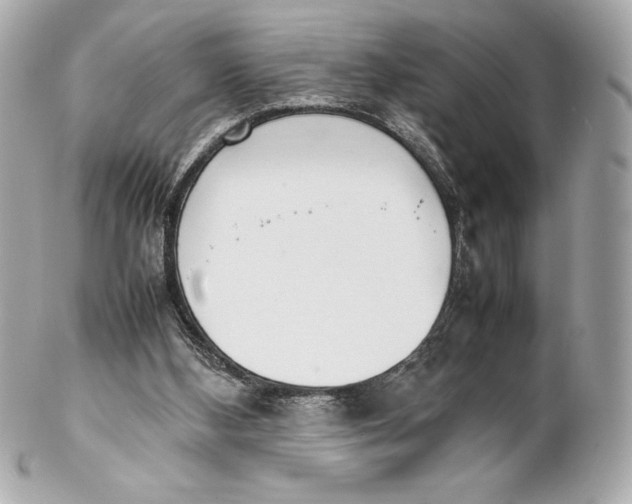 X0000102270108200808151913