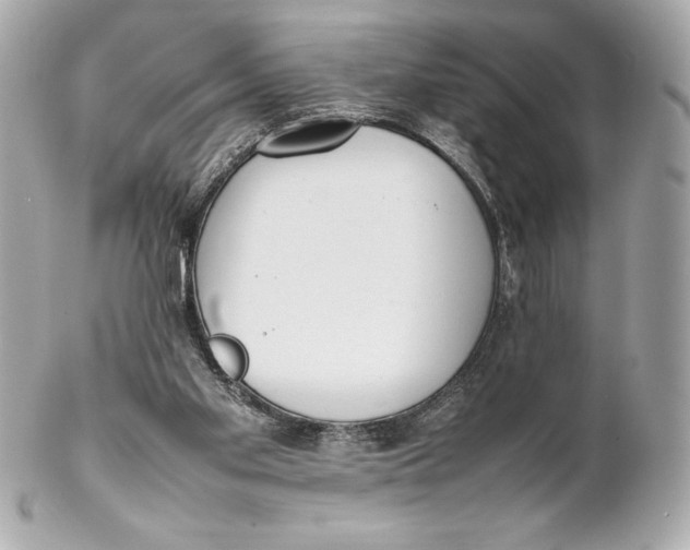 X0000102270109200808151913