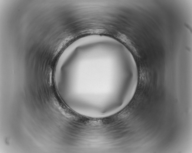 X0000102270110200808151913