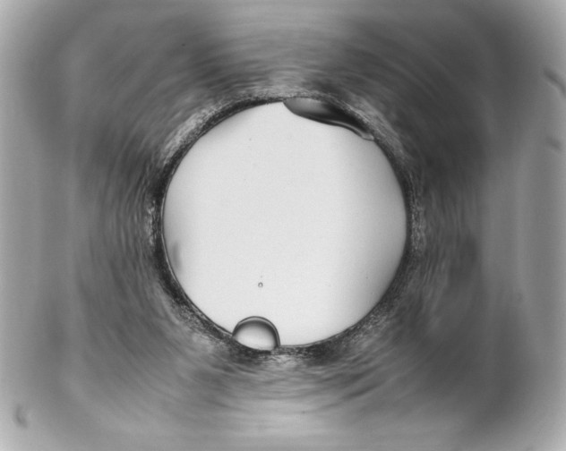 X0000102270111200808151913