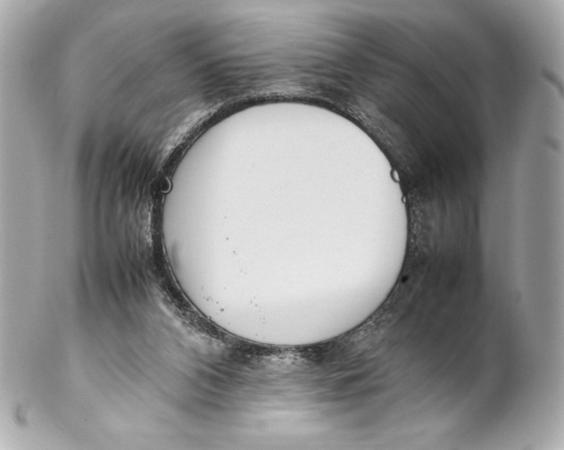 X0000102270112200808151913