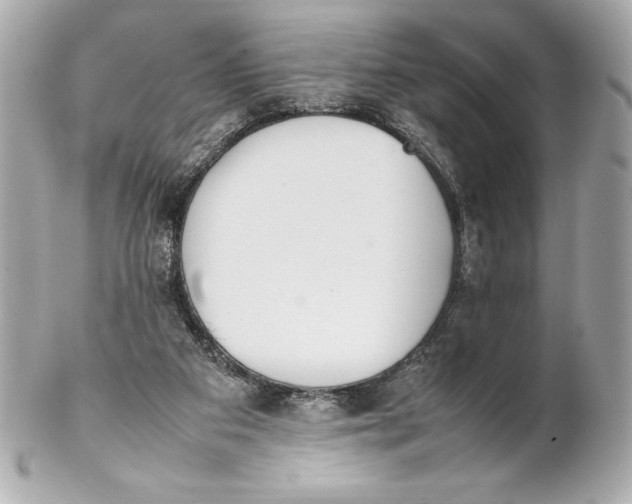 X0000102270113200808151913