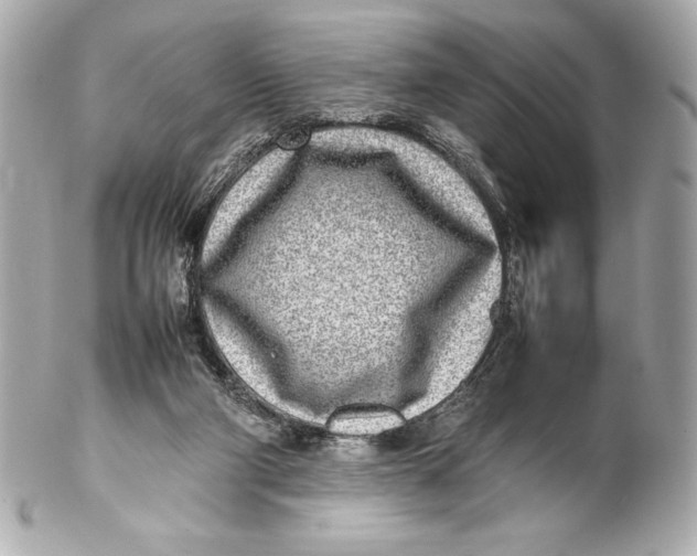 X0000102270114200808151913