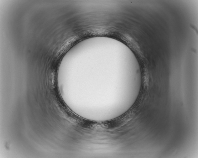 X0000102270115200808151913