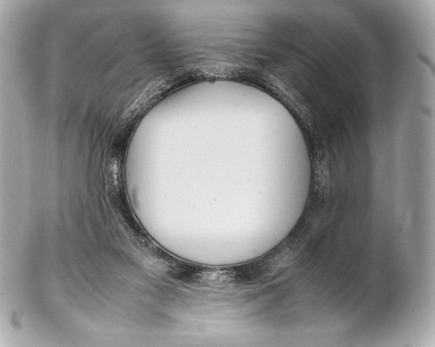 X0000102270117200808151913