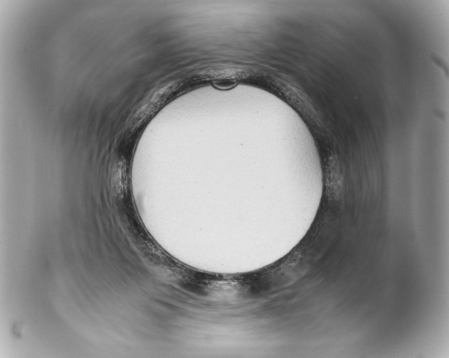 X0000102270119200808151913