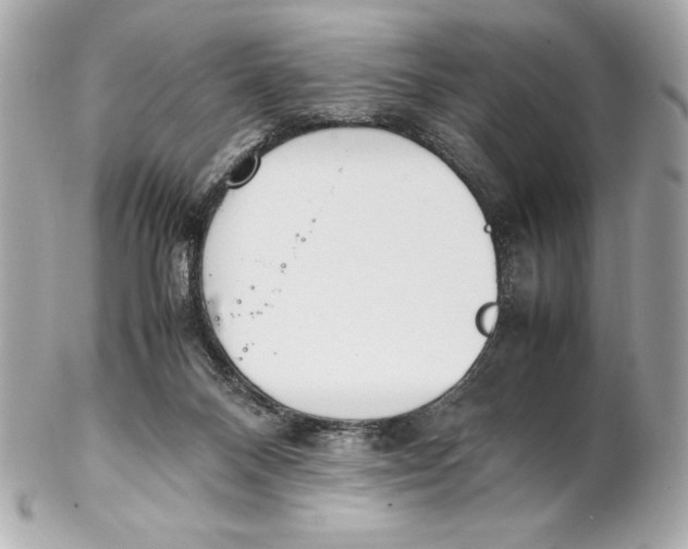 X0000102270120200808151913