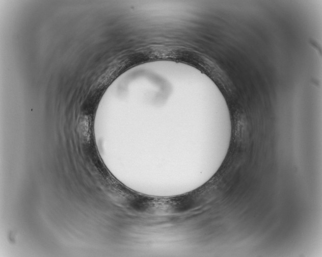 X0000102270121200808151913