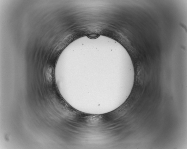 X0000102270122200808151913