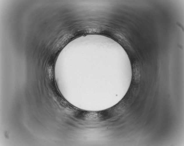 X0000102270123200808151913