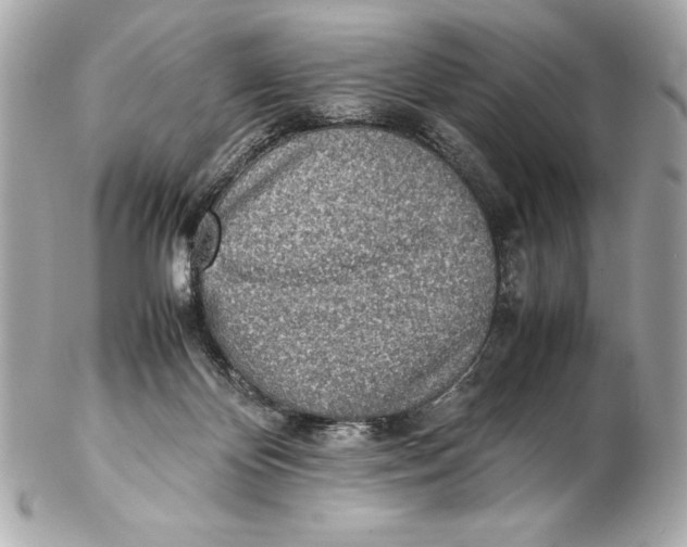 X0000102270124200808151913