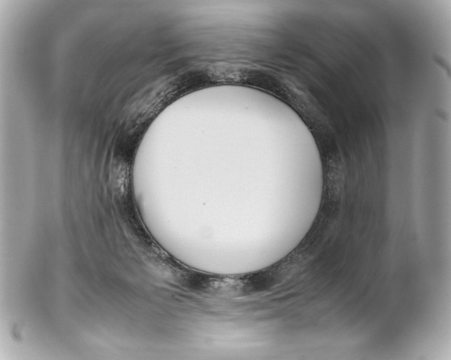 X0000102270125200808151913