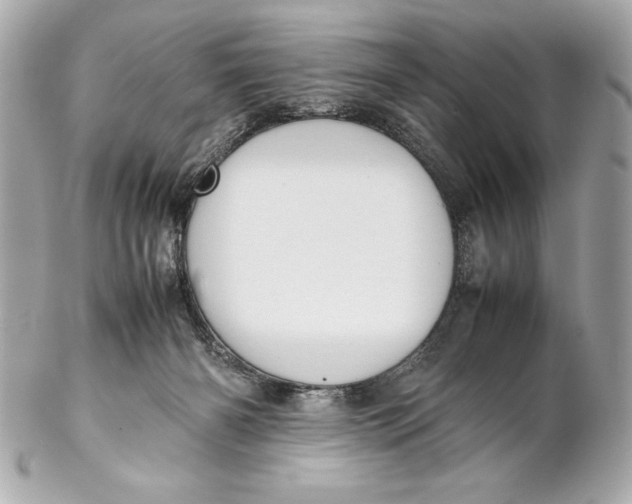 X0000102270126200808151913