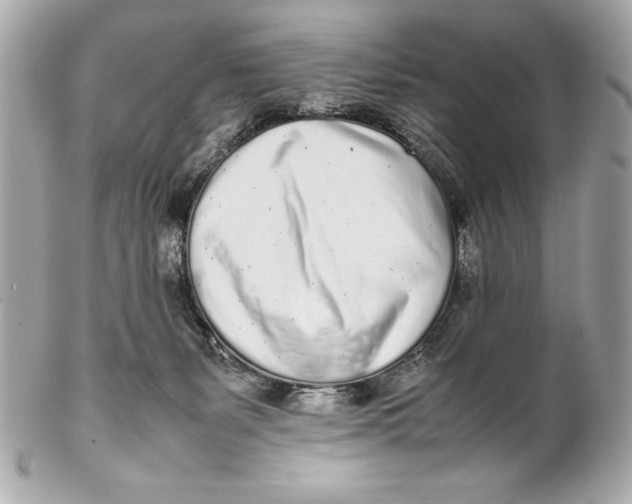 X0000102270127200808151913