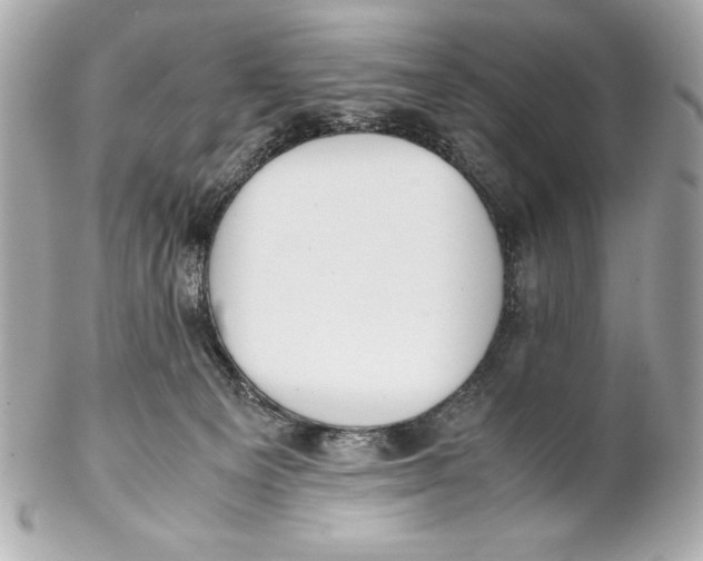 X0000102270129200808151913