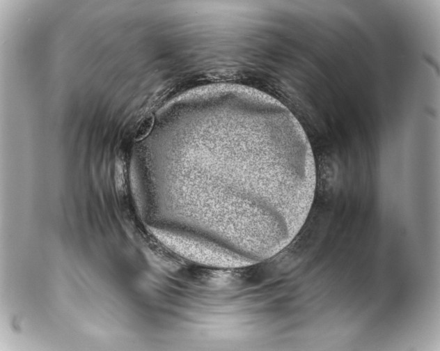 X0000102270130200808151913