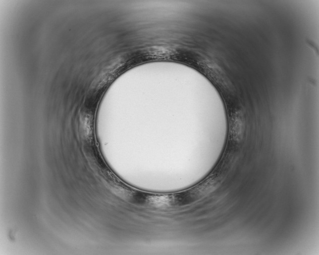 X0000102270131200808151913