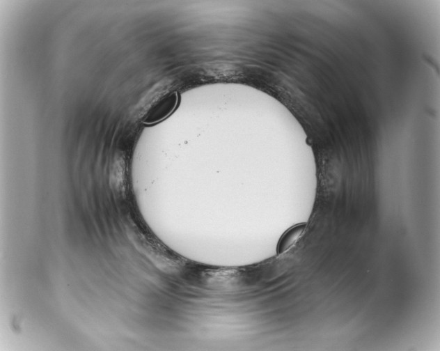 X0000102270132200808151913