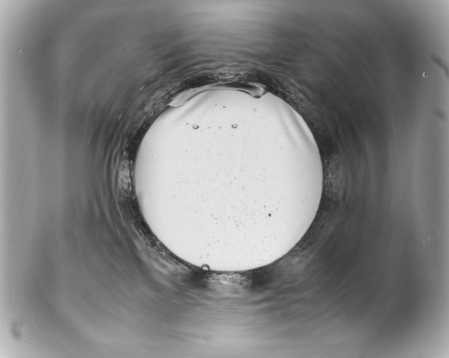 X0000102270137200808151913