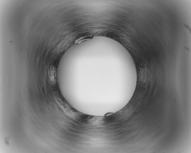 X0000102270138200808151913