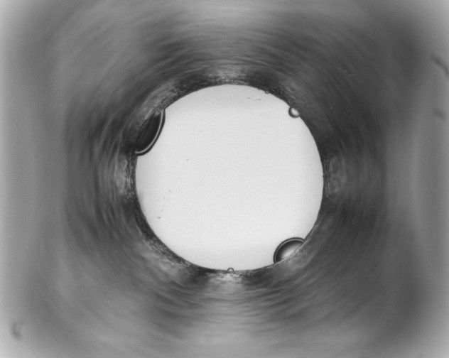 X0000102270140200808151913