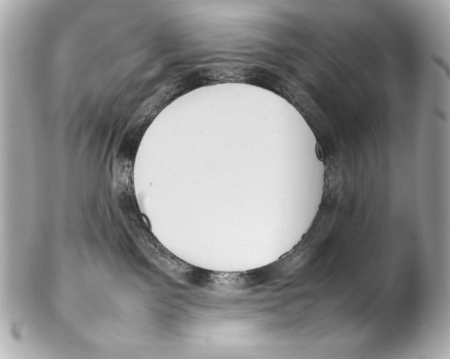 X0000102270141200808151913