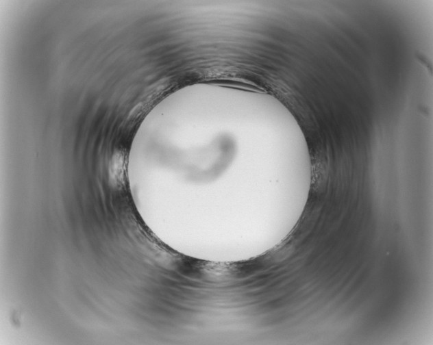 X0000102270142200808151913