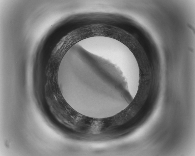 X0000102270143200808151913