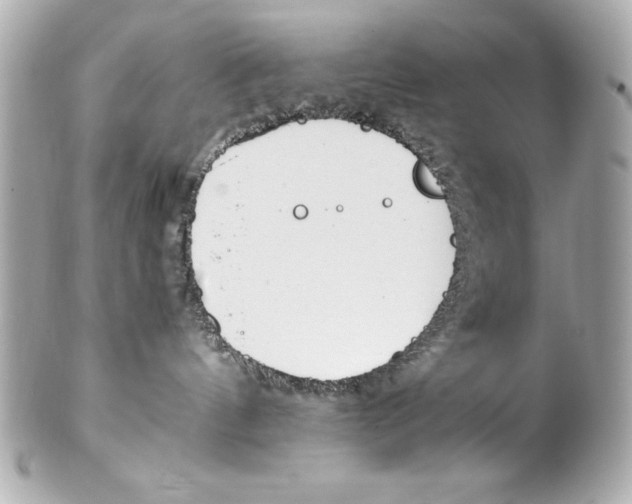 X0000102270144200808151913