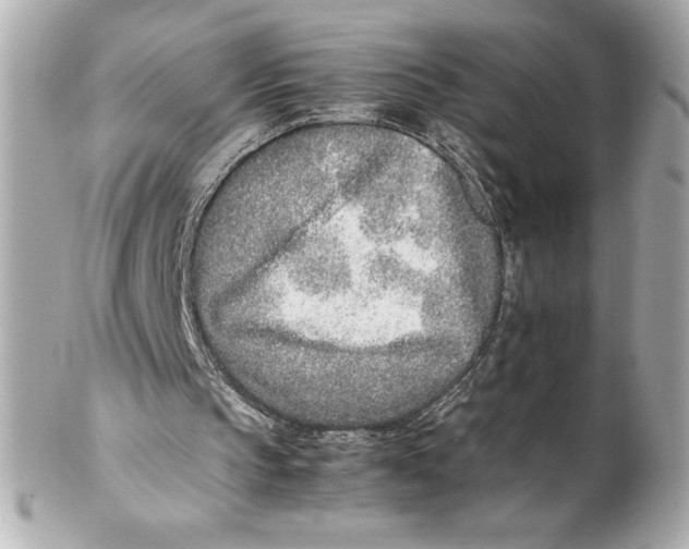 X0000102270145200808151912