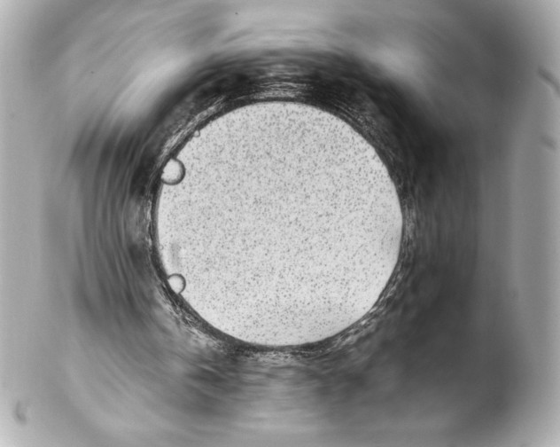 X0000102270146200808151912