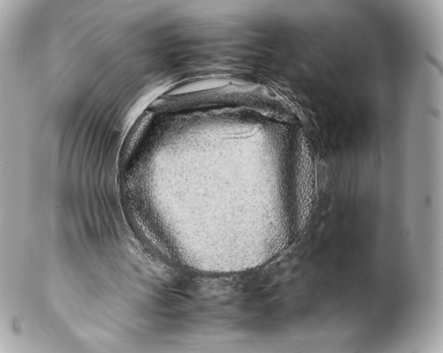 X0000102270147200808151912