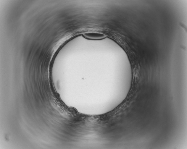 X0000102270148200808151912