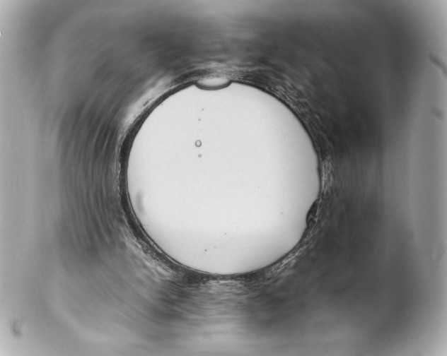 X0000102270150200808151912