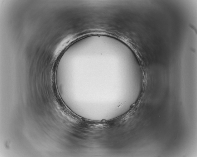 X0000102270151200808151912