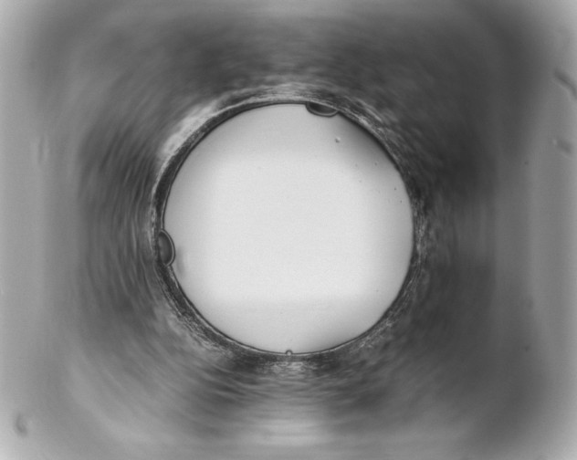 X0000102270152200808151912