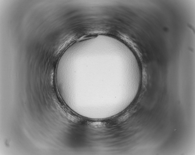 X0000102270153200808151912