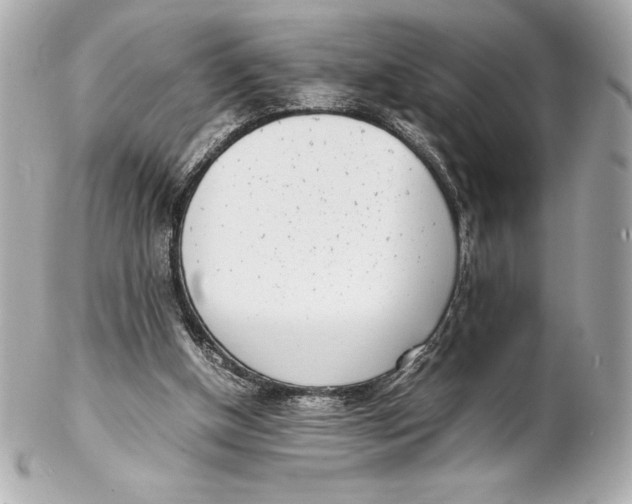 X0000102270154200808151912