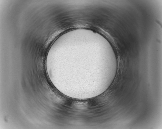 X0000102270155200808151912