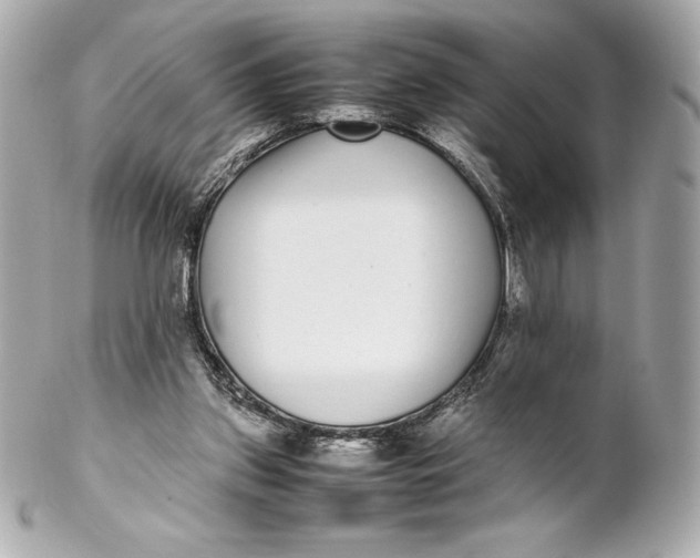 X0000102270157200808151912